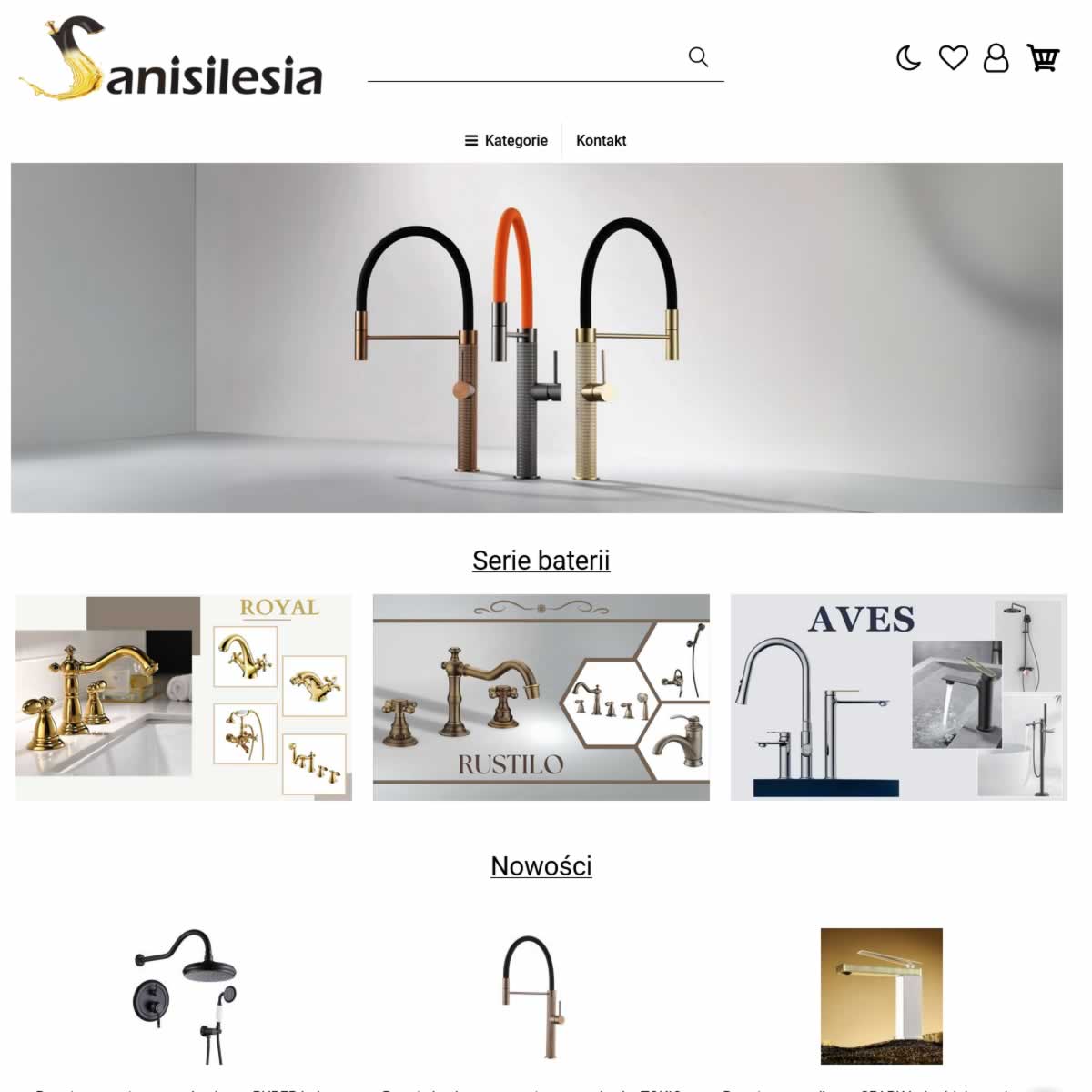 sanisilesia.pl-image